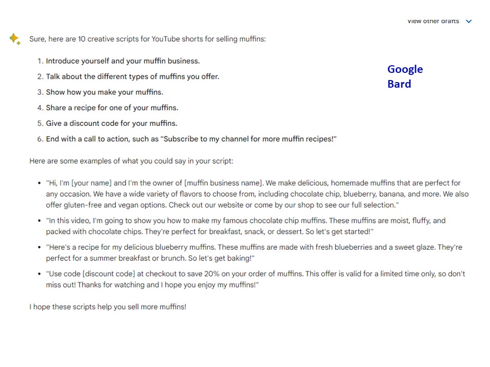Google Bard Screenshot