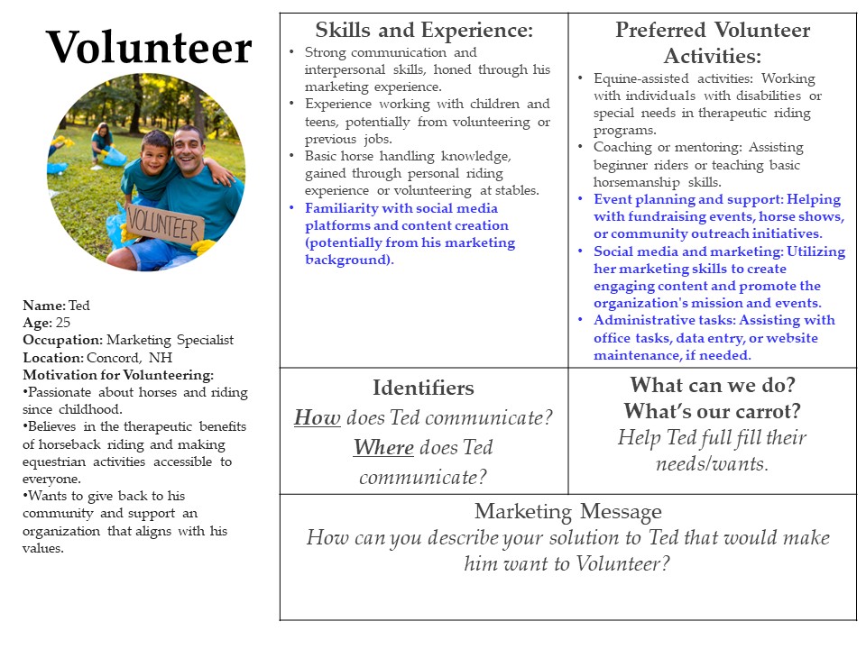 Sample NP Volunteer Persona