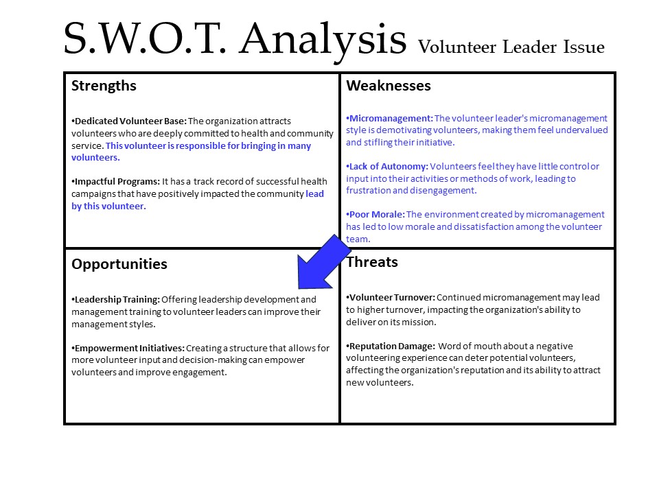 S.W.O.T. Analysis Volunteer Leader Issue